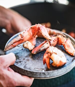 masterclass-schaal-schelpdieren