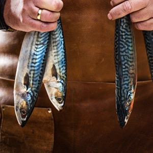 masterclass-workshop-vis-kamado-thumb
