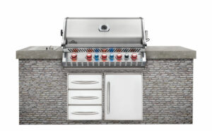 napoleon-prestige-pro-665-inbouw
