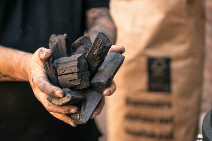 Dammers-houtskool-vergelijking-1