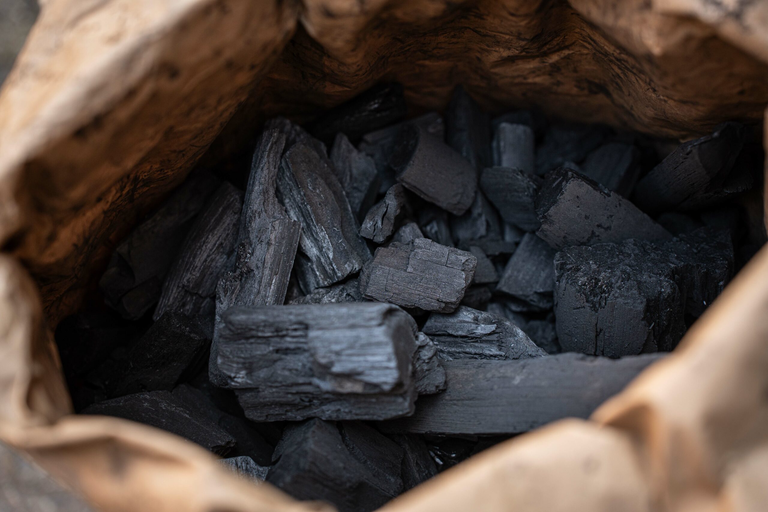 Dammers-zak-houtskool-vergelijking-2