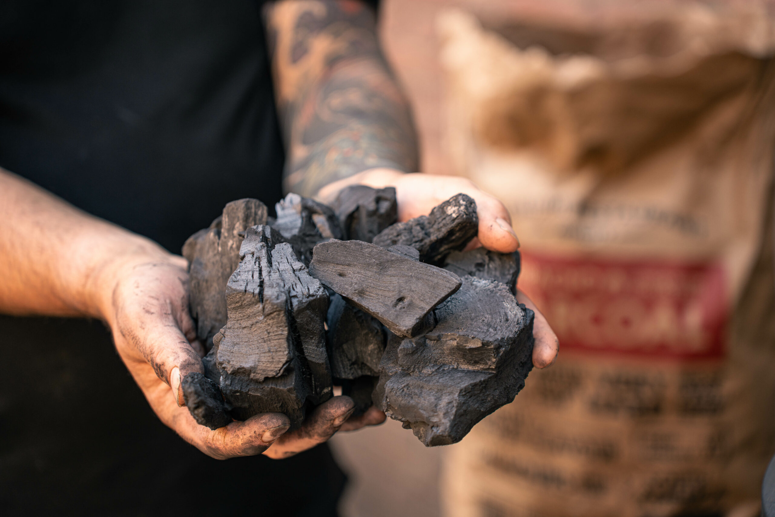 Quebracho-houtskool-vergelijking-2