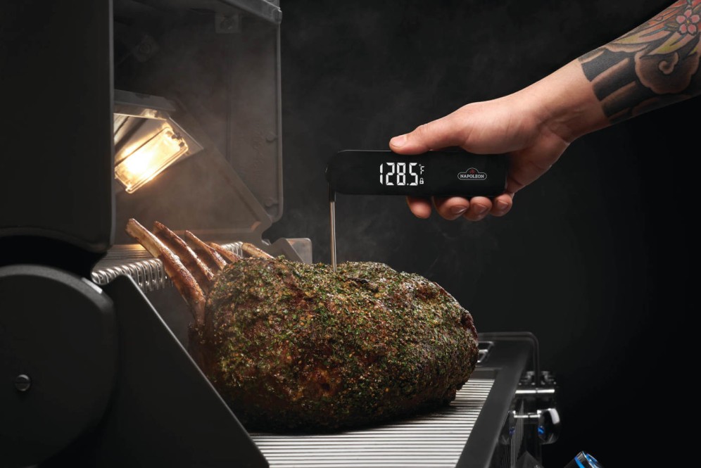 kernthermometer-napoleon-snel-lifestyl