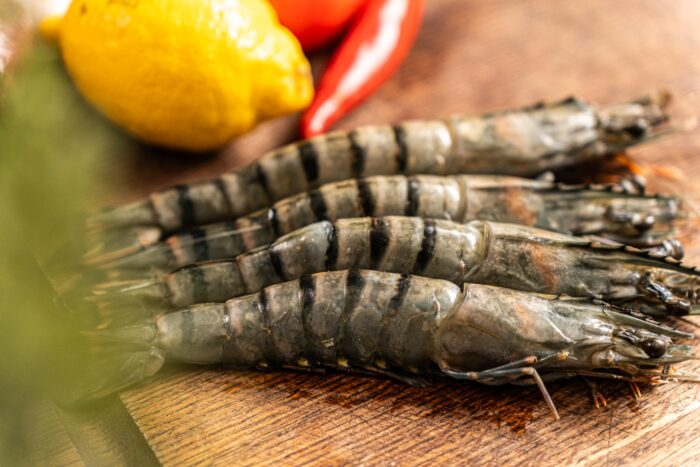 Food-assortiment-gamba-03