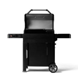 AutoIgnitE-Series-545-masterbuilt-02